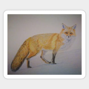 Fox Sticker